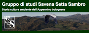 banner sito www.savenasettasambro.com